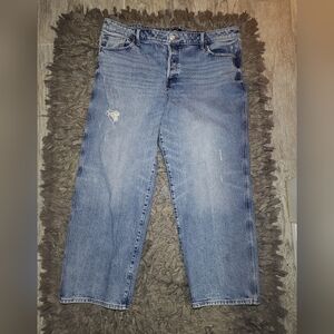 Express Relaxed Straight Low Rise Distressed Jeans